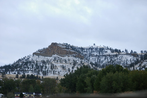 trip travel trees usa snow mountains montana unitedstates roadtrip 2009