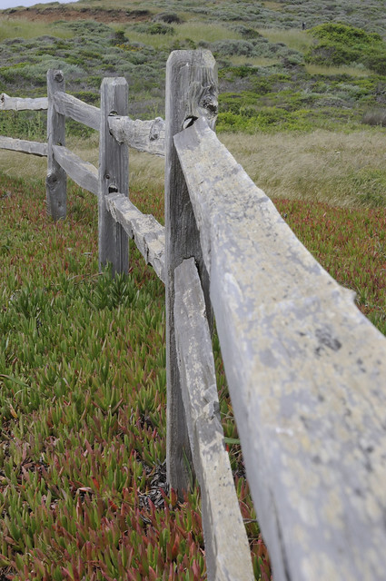 Split-Rail Fence on coastal bluff