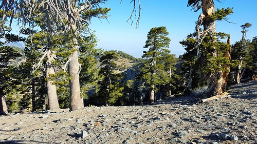 lovzhike mt baden powel memorial weekend 2016 angeles national forest camping hiking backpacking pct hike camp summit views sunset sunrise wonderlust simple life family brother loving