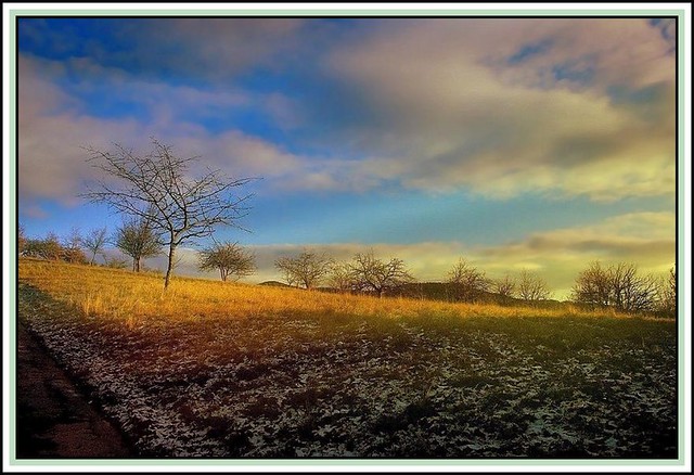 January countryside