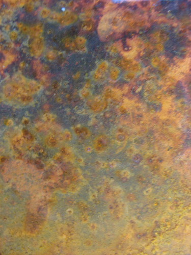 A Rusty Surface | by Plant Design Online