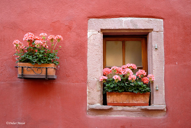 Fenêtre et geraniums