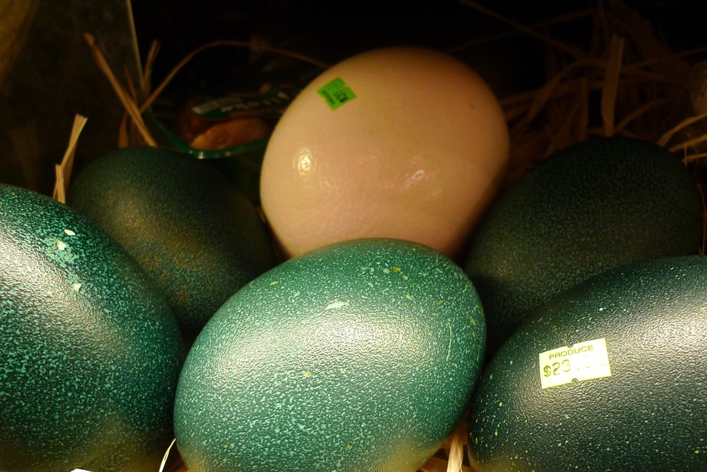 Emu Eggs Color