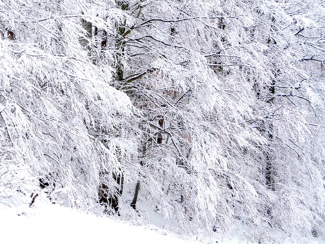 Sainte-Marie-de-Campan (Vallée de Campan, Hautes-Pyrénes, Fr) - Jour de neige