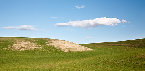 blue sky usa green clouds rural washington spring farmland hills fields rolling palouse teletubbyland