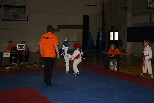 TKD Ísland og fl 406 | by estermarit