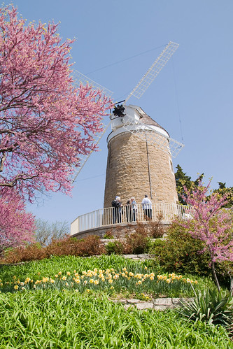 mill windmill kansas redbudtrees wamego olddutchmill