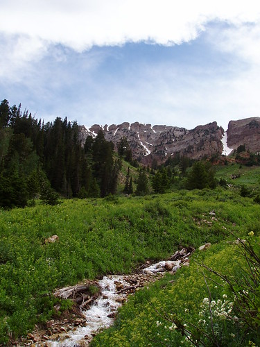 Deseret Peak Ridge as seen from Dry Lake Fork.