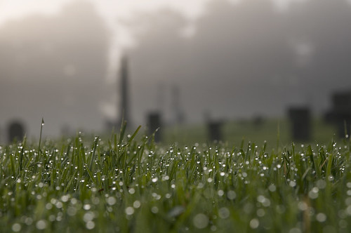 graveyard fog droplets dof bokeh connecticut waterdrops ridgefield fairfieldcounty tamron1750mmf28
