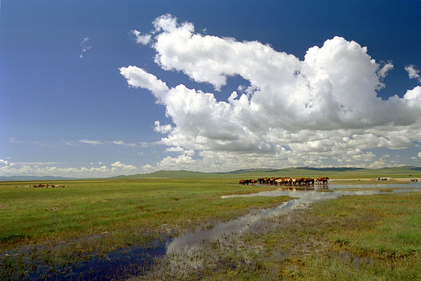 Mongolia, Mongolië, Mongolei Travel Photography of Naadam Festival.197
