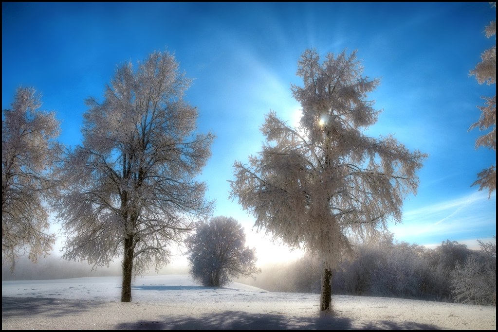 Winterday nice winterday | have a nice morning walk today on the summi… | Flickr