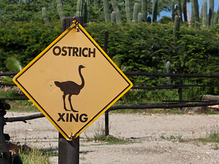 Ostrich Crossing | Ostrich crossing sign on Aruba. | Bryan ...