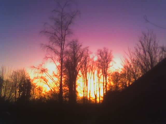17-02-08_Sunset