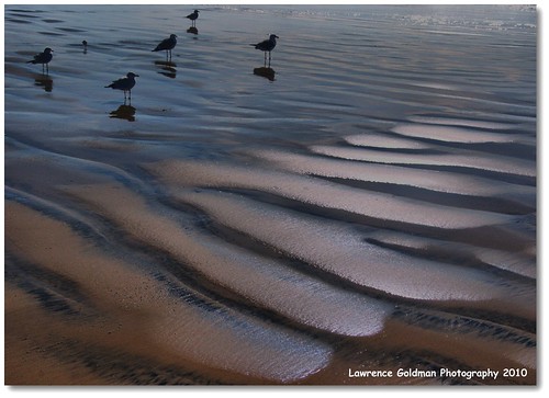 california birds reflections coast patterns silhouettes beaches pismobeach photoart hdr 1000views 200comments nikond90 platinumheartaward 1001nightsmagiccityaward