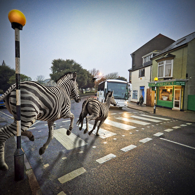 Z is for Zebra crossing Zebra crossing