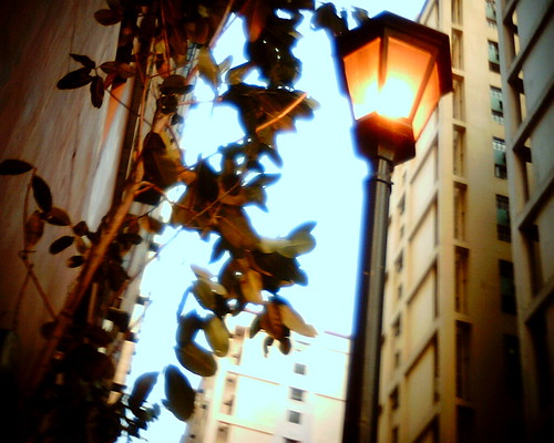 Lamp Post | by a.mystery.of.mister.e