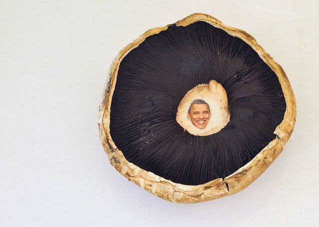 A Rare Obama Sighting in a Portobella Mushroom