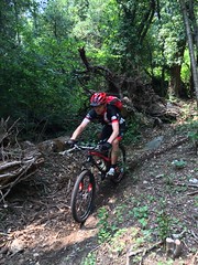 Tessin 2015