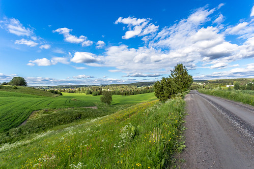 green norway landscape akershus amazingscenery fetkommune østanes