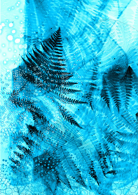BIO / blue fern