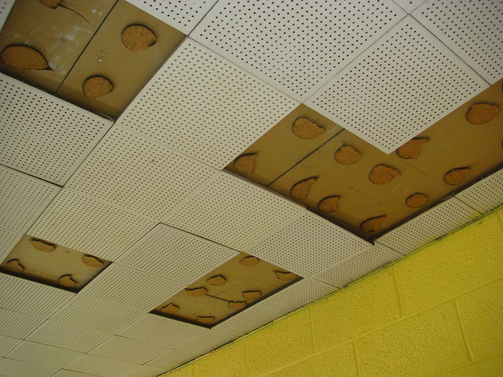 Asbestos ceiling tiles