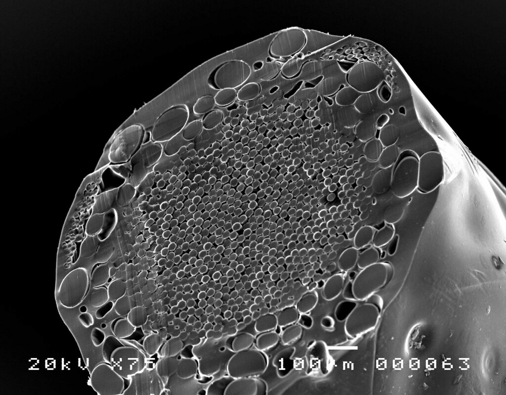Structure of a tennis string | SEM micrograph of a sectioned… | Flickr