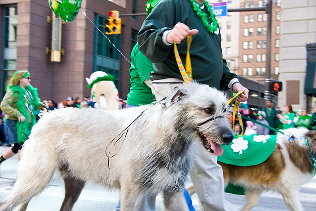 Wolfhounds St. Patrick's Day Parade Cleveland