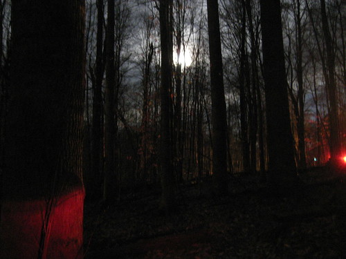 moon woods nightride
