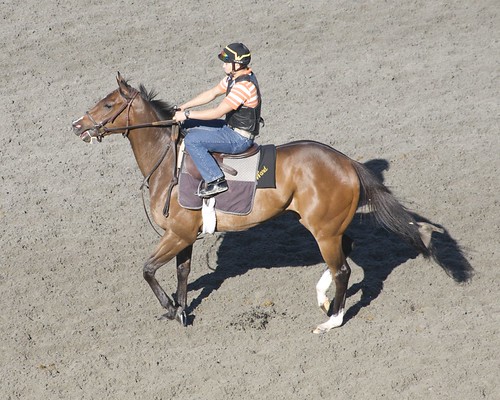 Training @ Keenland | by Just chaos