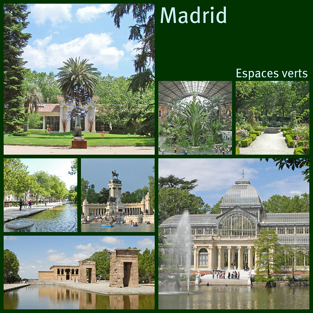 Madrid vert