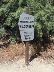 Sheep Mountain Wilderness sign