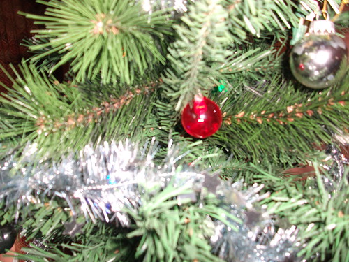 christmas tree | by livinginabox1