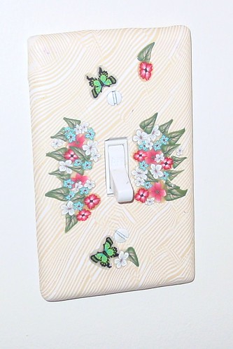 Switch Cover | by hesshatcreek