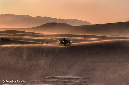 Sand storm, Death Valley National Park | by Fereshte Faustini