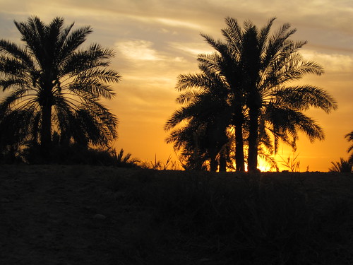 sunset bahrain sar maqabah