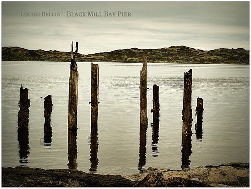 Remains of Black Mill Bay Pier, Luing, Scotland by Louise Bellin