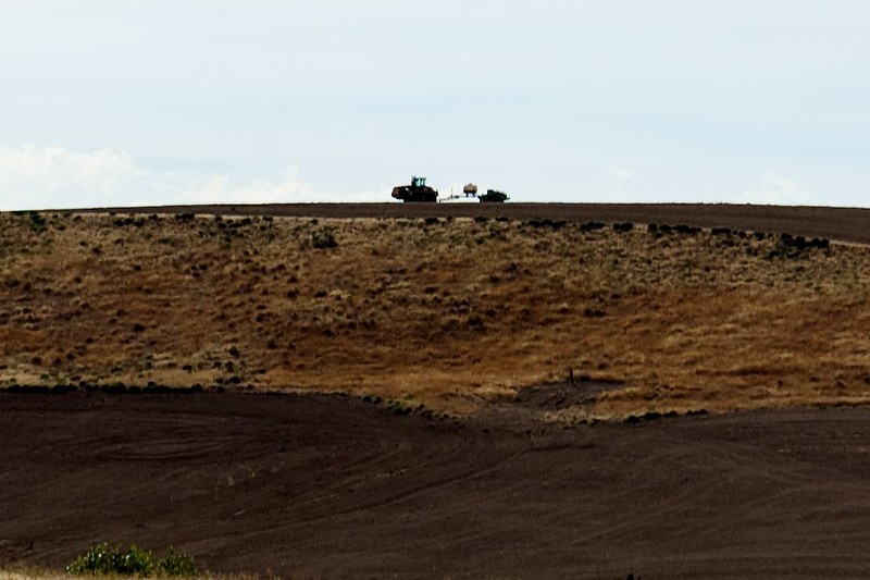 Oregon Trail