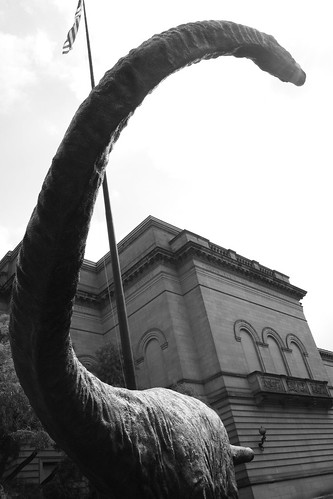Carnegie Dino and Flag