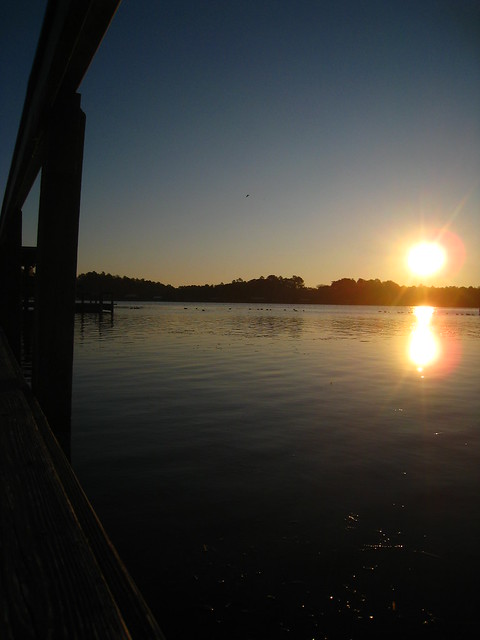 Lake Seminole sunrise 3