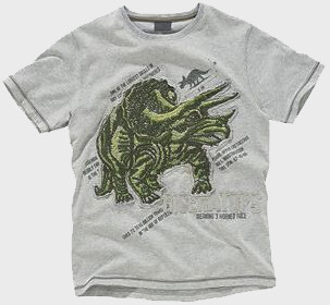 Next Boys Embroidered Triceratops T-shirt