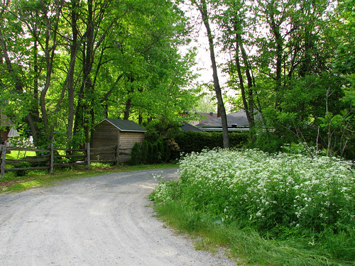 Coulée Verte, Saint-Lambert, Québec by !MimosaMicheMichelle!