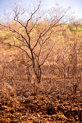 poverty winter canon landscape southsudan sudan 5d hornofafrica eastafrica toritcounty easternequatoriastate