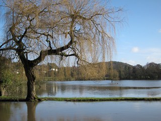 Flooded Field Chantries Hills in the background