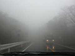霧の伊豆スカイライン
