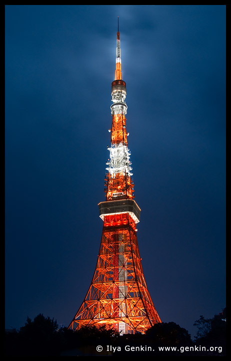 Tokyo Tower at Night, Shiba Park, Minato, Tokyo, Kanto Region, Honshu Island, Japan