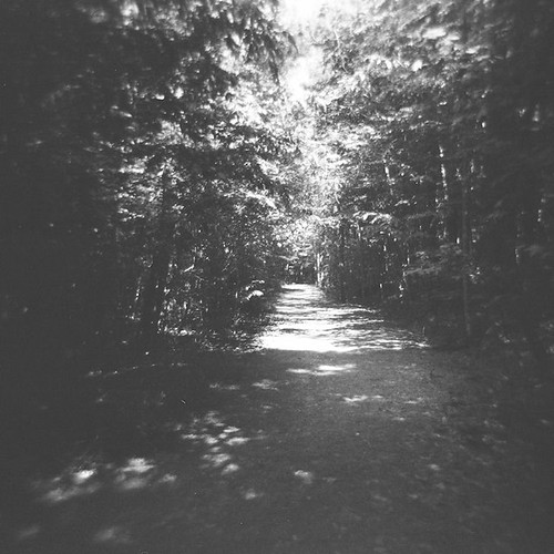 park county blue trees light summer blackandwhite bw white black 120 film nature analog forest square point landscape grey nc holga woods jay view path echo gray scenic northcarolina raleigh trail duotone meander curve prompt chrysti sooc bluejaypointcountypark christyhydeck