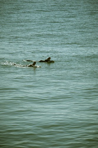 Durban Surf