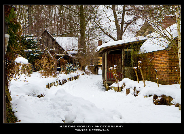 Winter Spreewald
