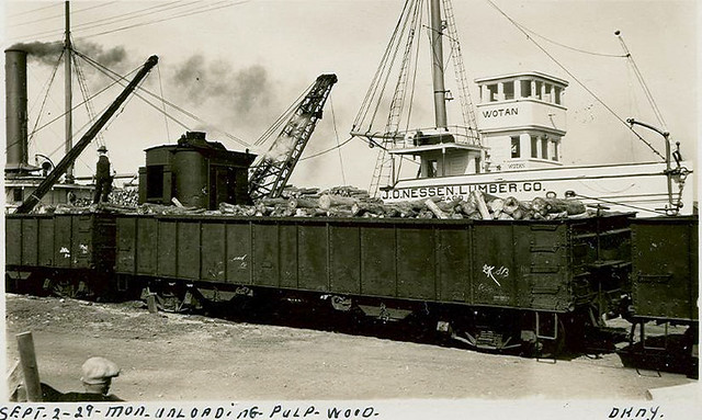 Unloading pulp wood at Dunkirk, NY.