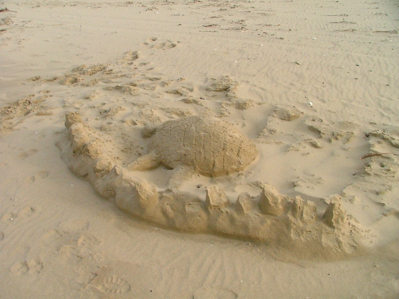 sand sculptures 2